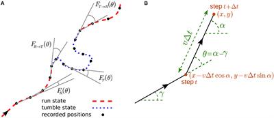 Transient Anomalous Diffusion in Run-and-Tumble Dynamics